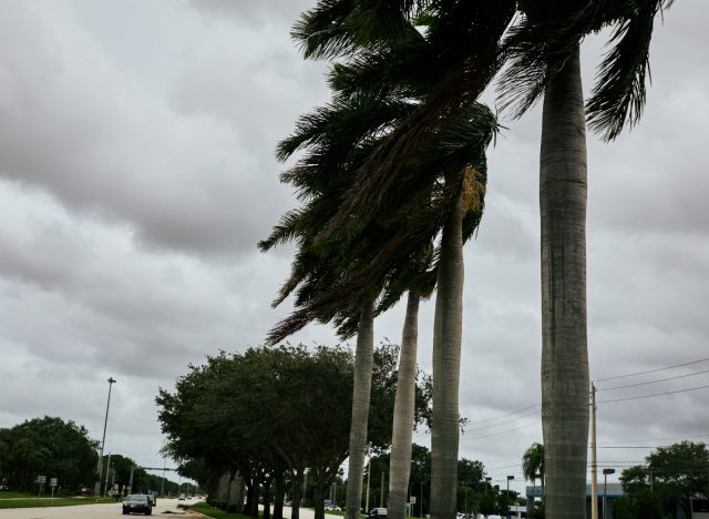 hurricane Ian in Florida