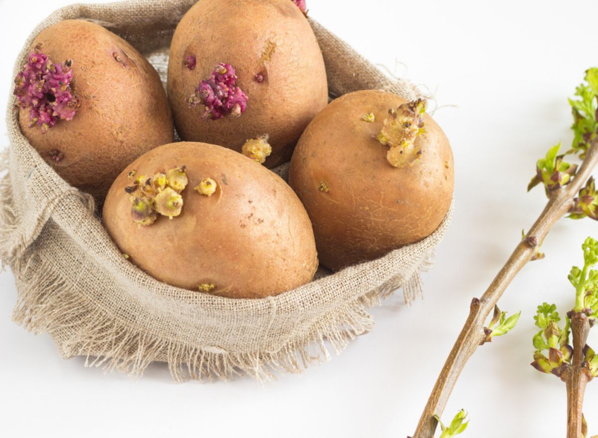 Is It Safe to Eat Green Potatoes? — Eat This Not That