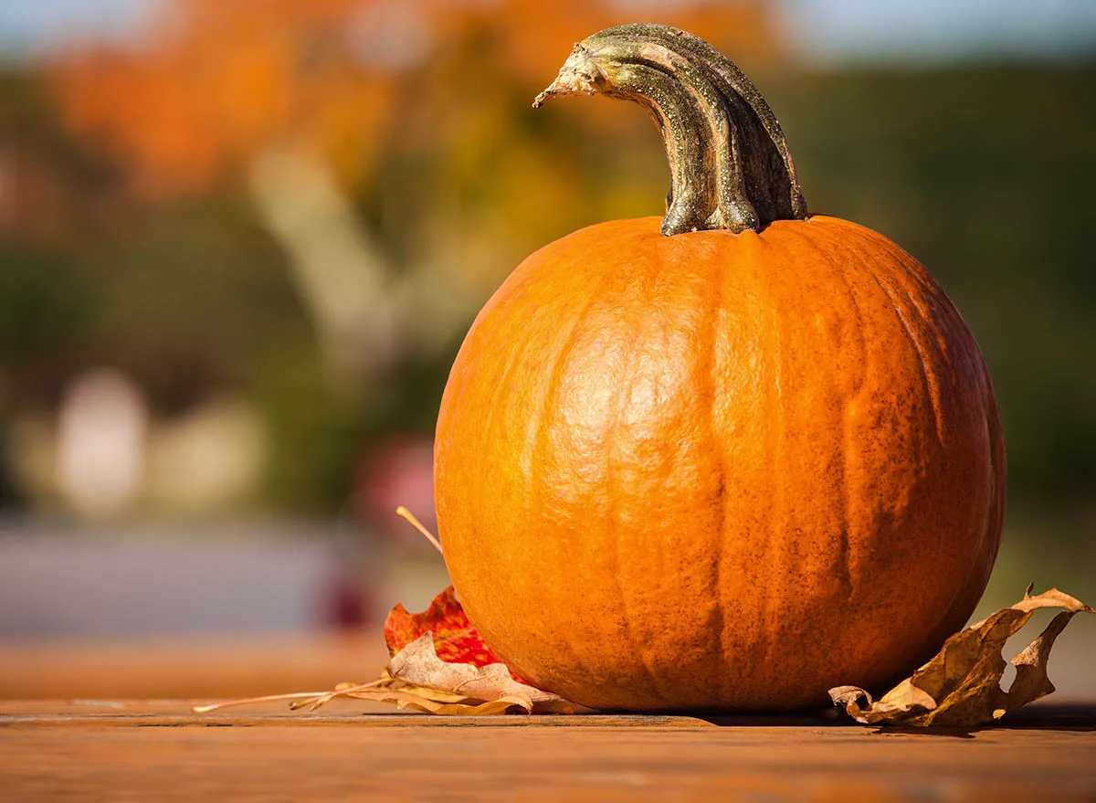 How To Choose the Best Pumpkin for Eating From the Pumpkin Patch