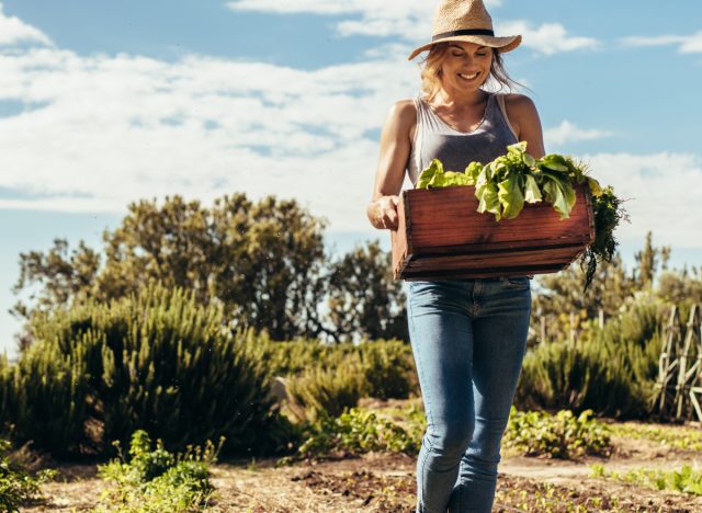 active woman gardening in sunshine