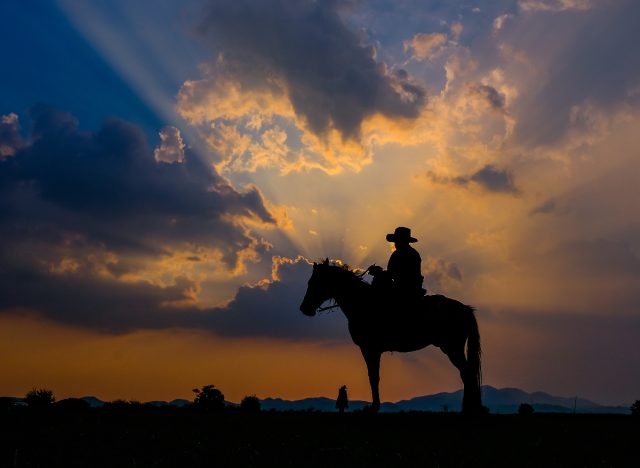 cowboy silhouette