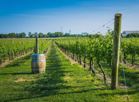 This State Is the #1 Wine Destination in America