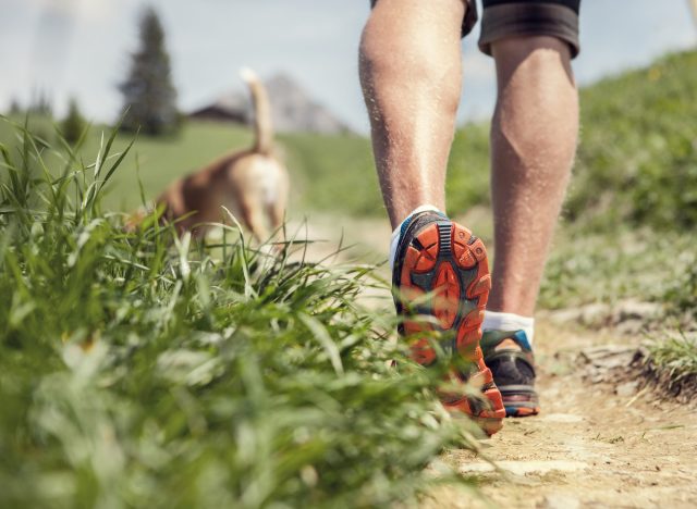 close-up man's legs walking with dog on nature trail