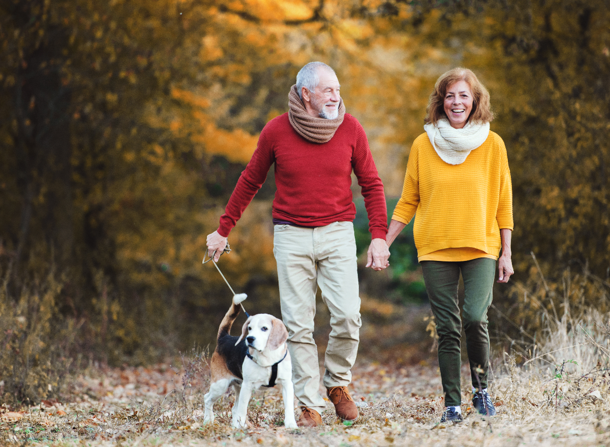 mature couple on autumn walk with dog, habits to slow down muscle aging