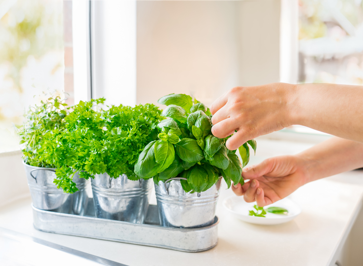 grow herbs at home in the kitchen