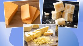 pictures of different types of cheese on a blue background