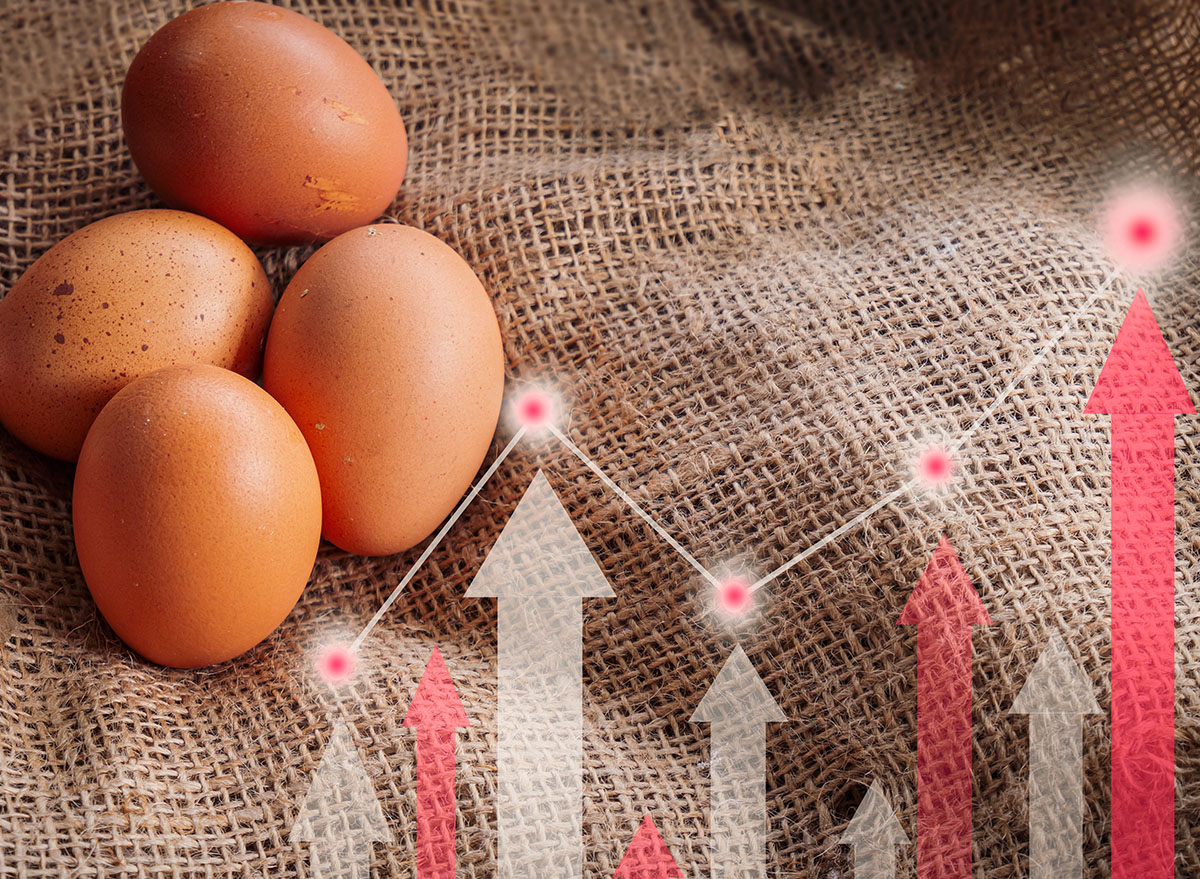 Egg prices have nearly doubled over the past year.
