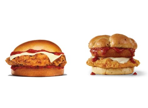 Italian Sandwich Taste Test: Wendy's vs. Burger King