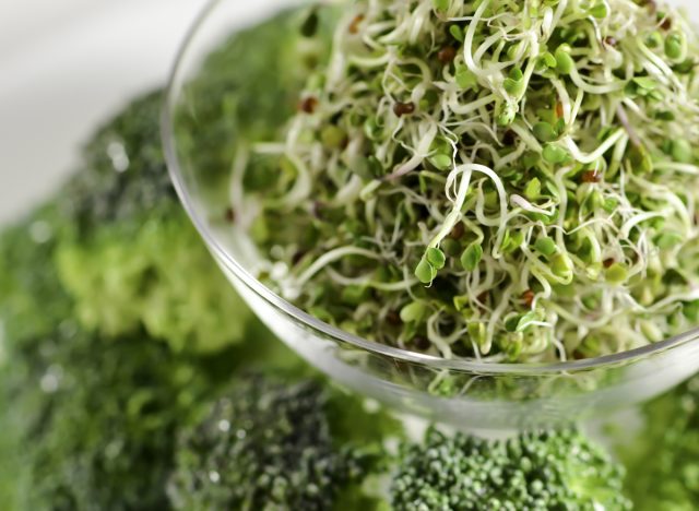 broccoli sprouts