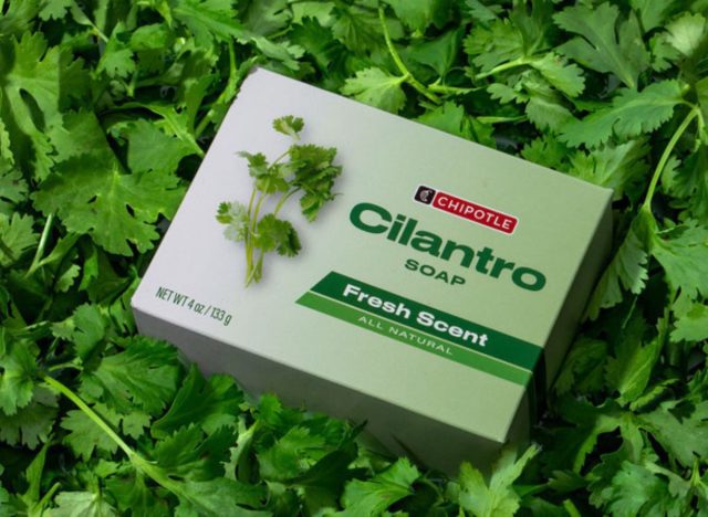 cilantro soap chipotle