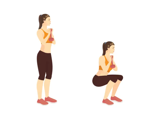 dumbbell goblet squat illustration, exercises to stay fit