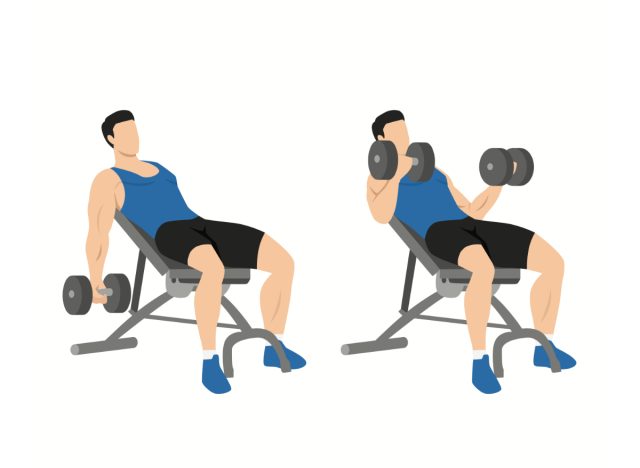 incline dumbbell curl exercise, illustration