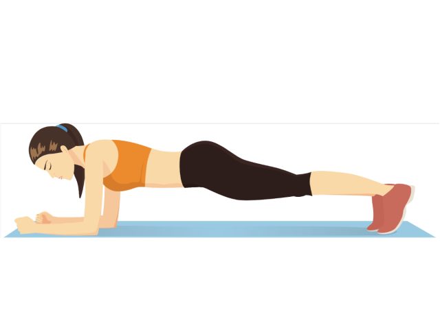 plank exercise diagram