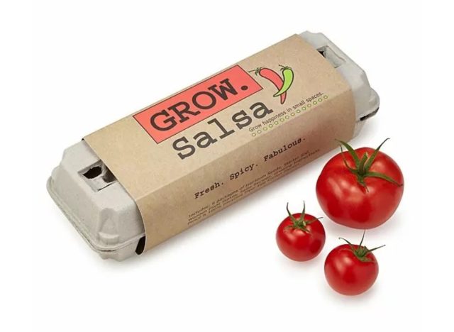 salsa grow kit