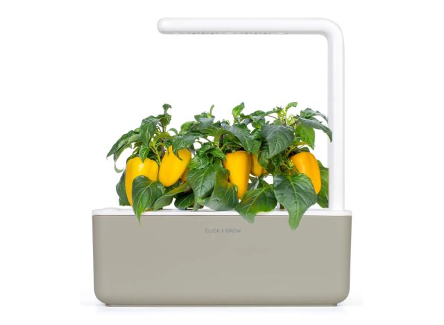 smart garden 3 self-watering indoor garden