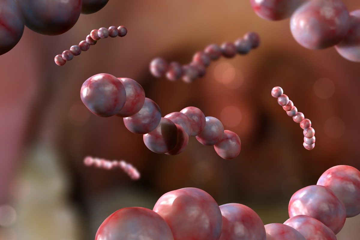 Strep,Throat,Also,Known,As,Streptococcus,Pneumonia,Bacteria,In,Mouth