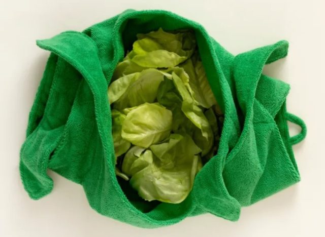 uncommon goods salad sling