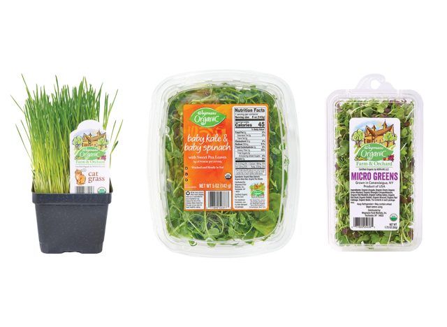 wegmans recalled leafy greens