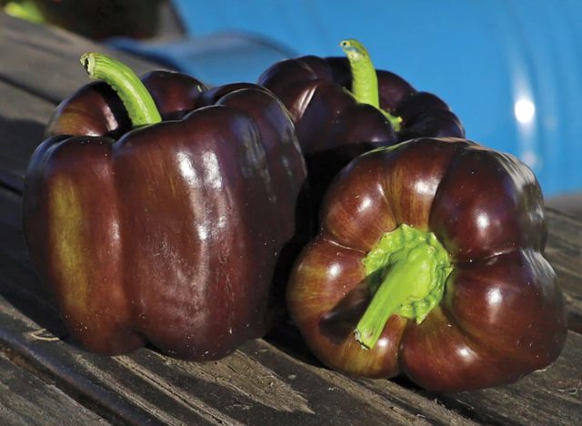 dragonfly peppers