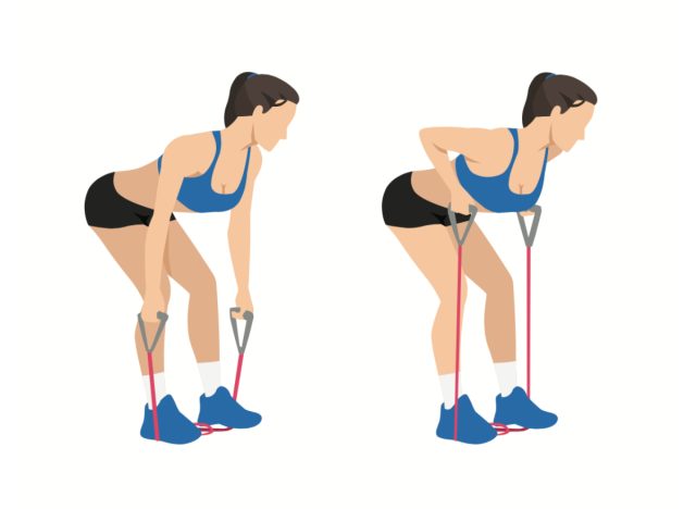 illustration of resistance band row