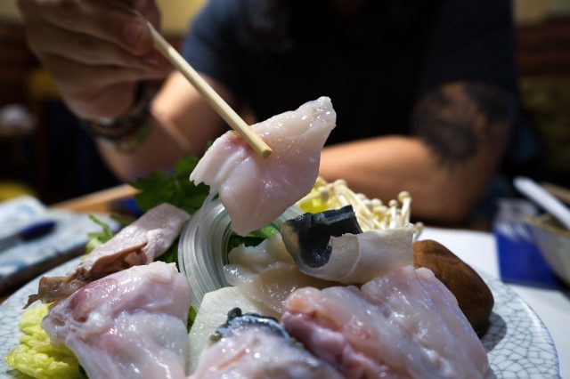puffer fish_fugu