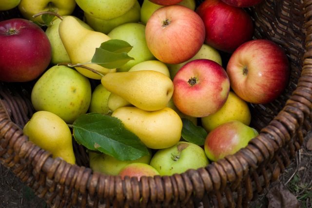 corbeille de fruits pommes et poires