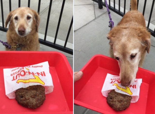 In-N-Out Pup Patty