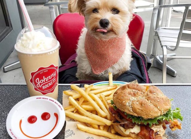 Johnny Rockets Dog Burger safe