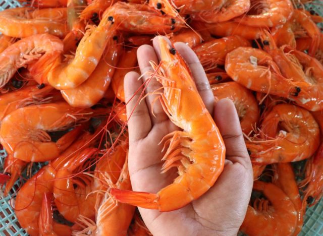 shrimp in bulk
