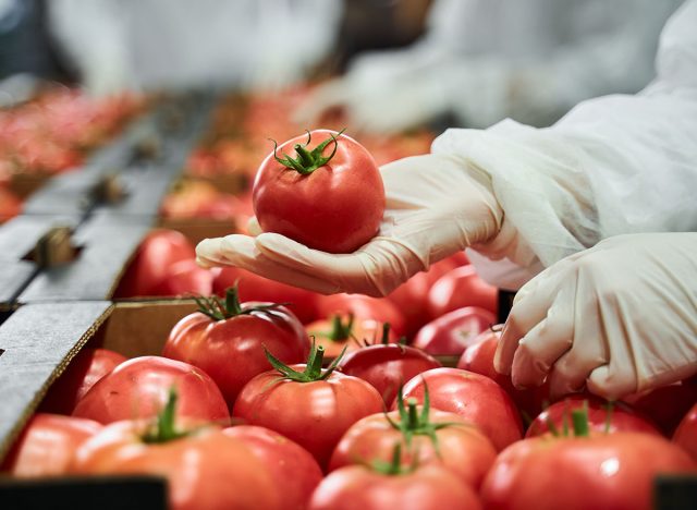 Tomatoes in the produce section of a supermarket