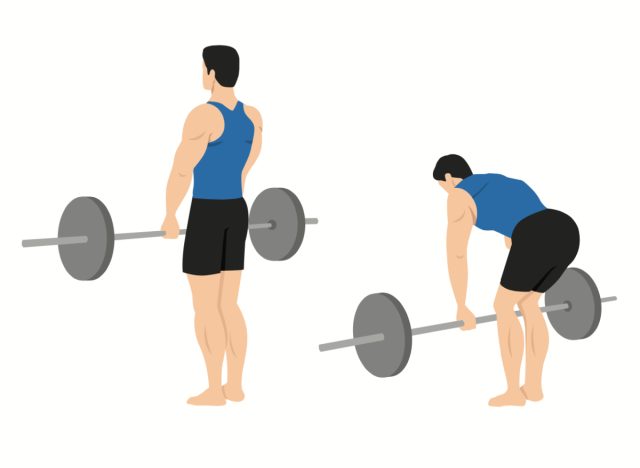 barbell deadlift illustration