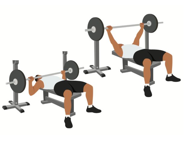 illustration of barbell bench press