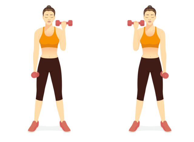 dumbbell bicep curl illustration