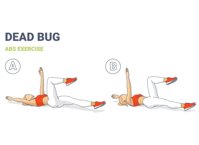 illustration of dead bug exercise, concept of exercises to melt waist fat