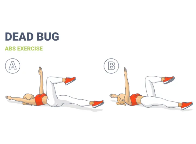 illustration of dead bug exercise, lower-belly workout