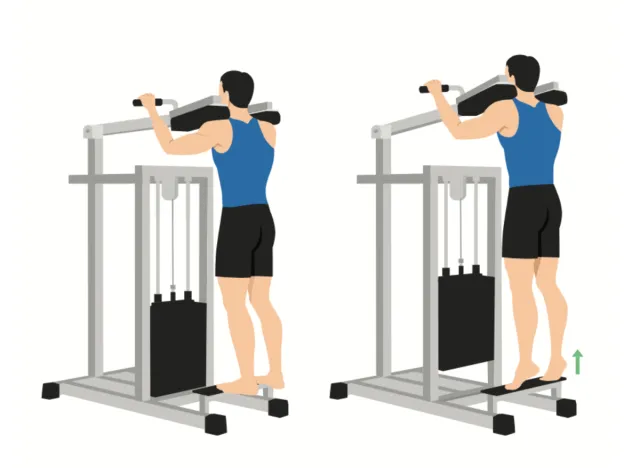 illustration of machine standing calf raises