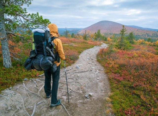 manlig vandrare på stigen