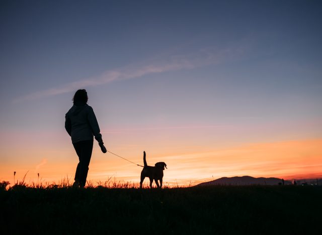 person on a sunset walk with their dog