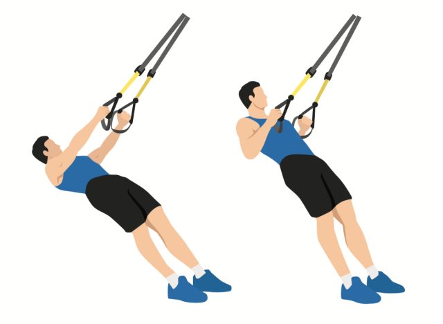 TRX row illustration, concept of superset workouts for belly fat