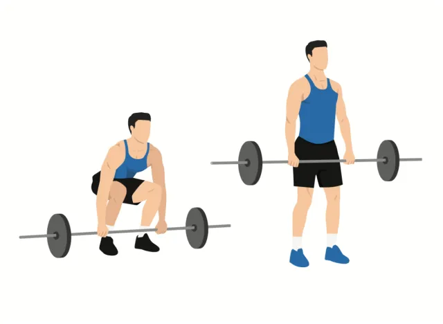 illustration of barbell deadlifts