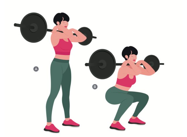 illustration of barbell front squat exercise