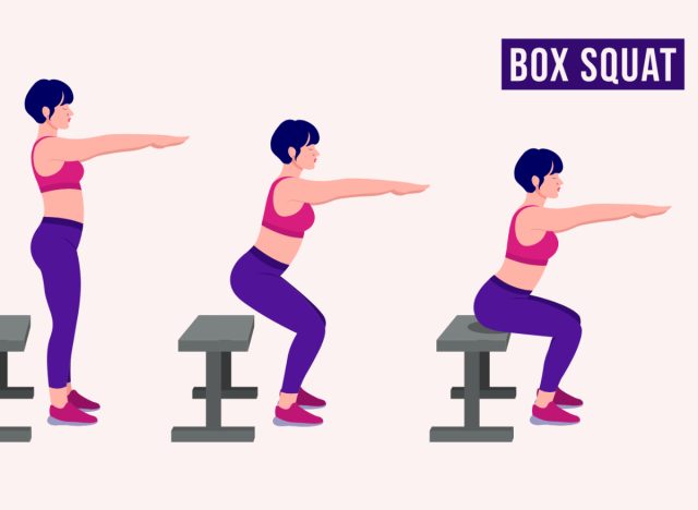 illustration of box squat exercise