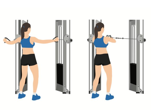 illustration of cable reverse fly exercise