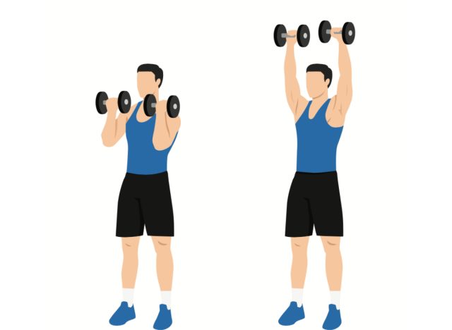 illustration of dumbbell arnold press