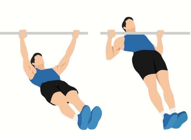 illustration of inverted rows exercise