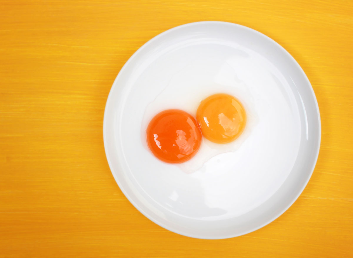 yolk