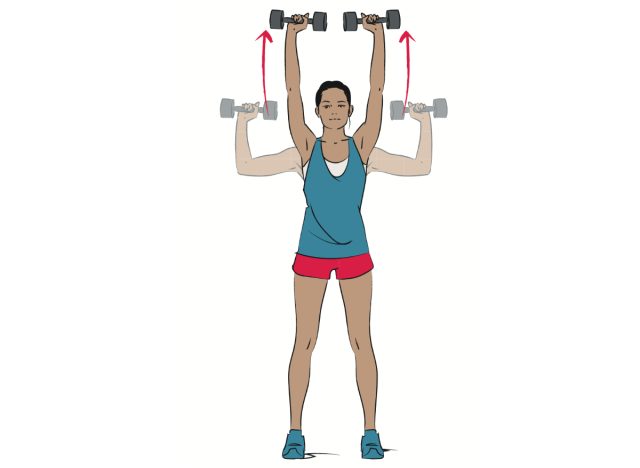 illustration of overhead press lightweight dumbbell exercises