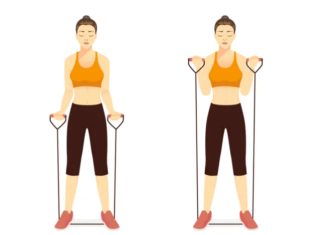 illustration of resistance band bicep curls arm workouts