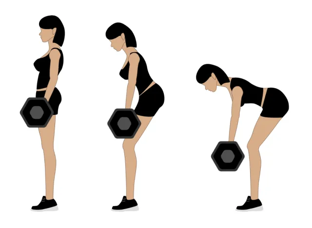 illustration of Romanian deadlift exercise