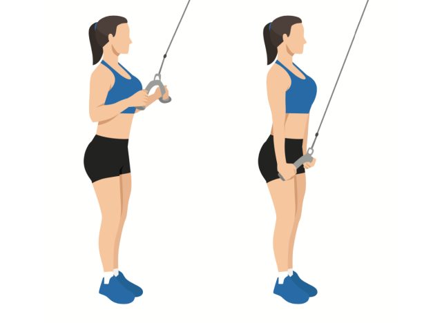 tricep rope extensions exercise